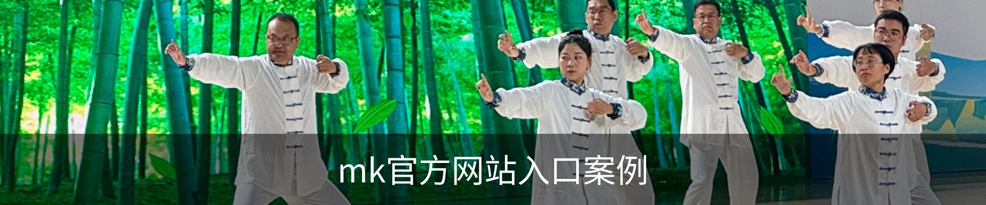 mk官方网站入口案例